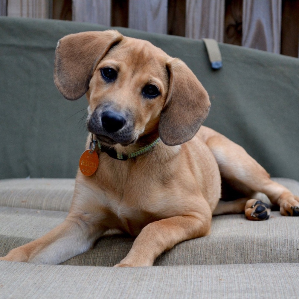 Meet your Poshers, Cj & Katie